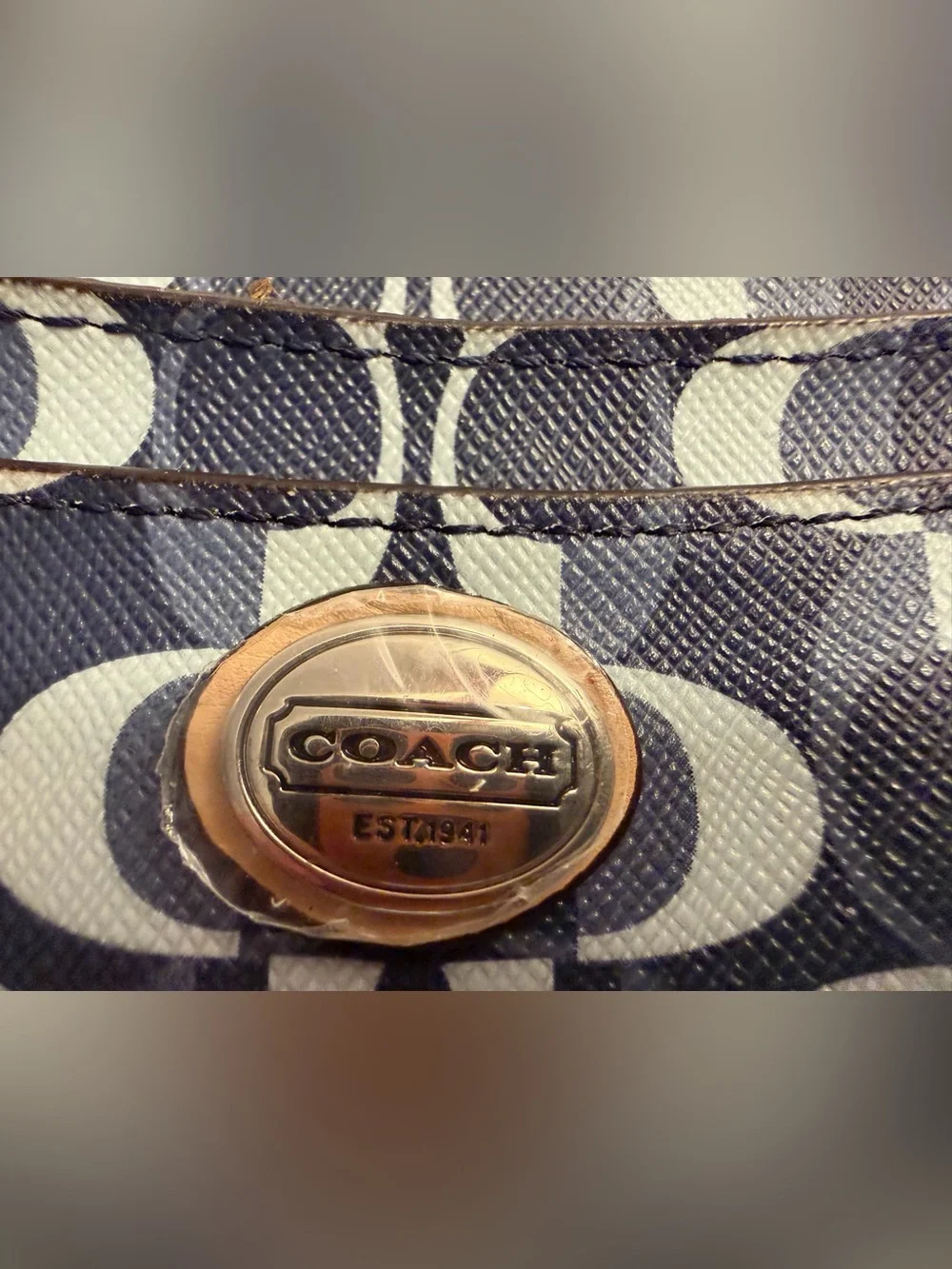 Coach Peyton Dream C in shades of blue.
